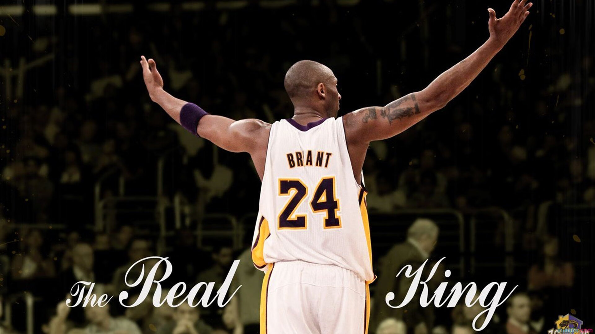 哈利伯顿爆发难救主，广东硬仗擒黄蜂显冠军底蕴