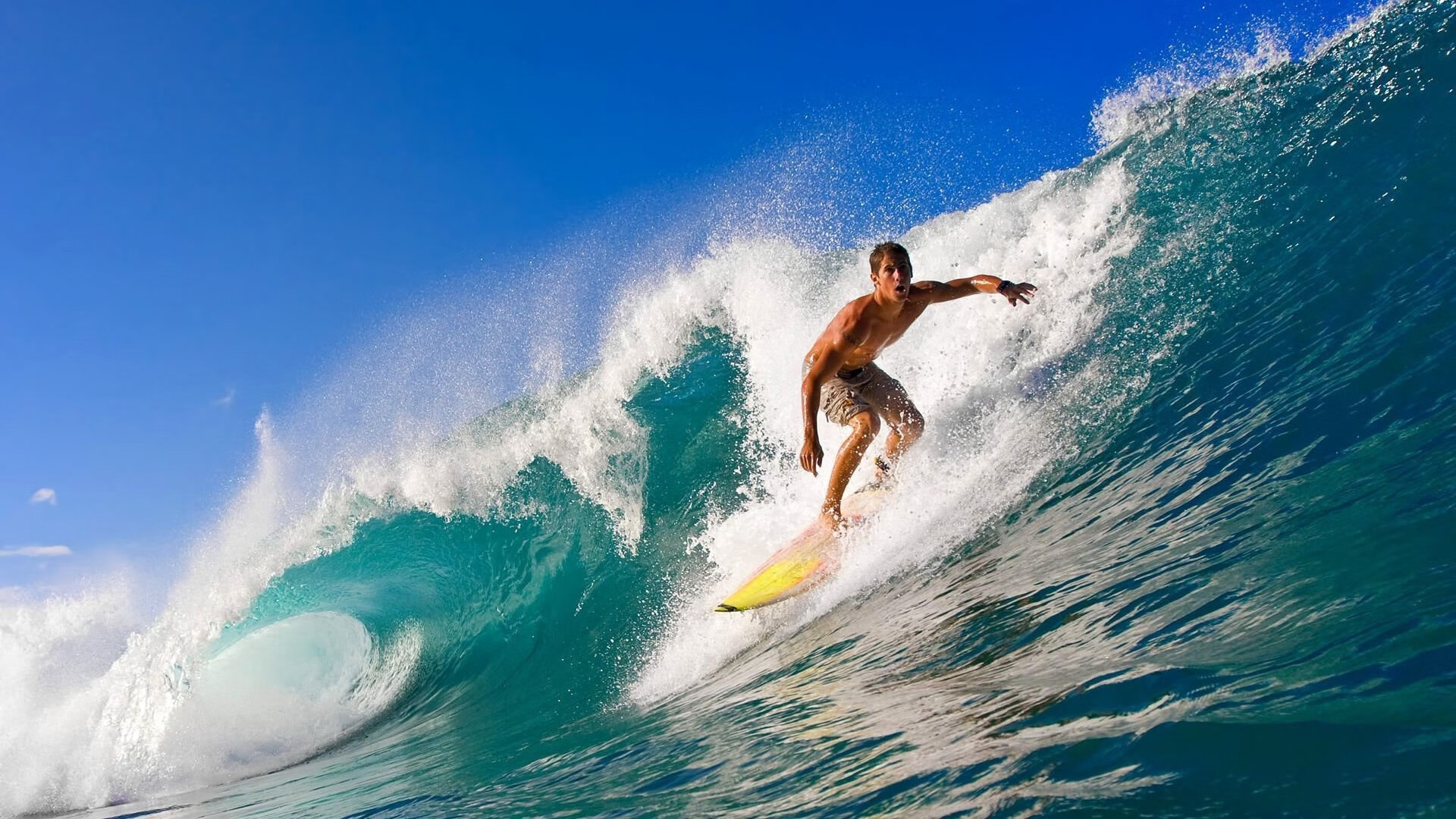 绿茵场与乒乓台的双重奏，葡萄牙轻取瑞典，张本智和统治全场